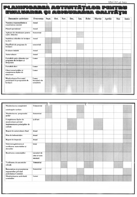 Planificarea activitatilor